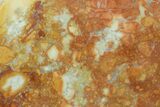 Polished Maligano Jasper Slab - Indonesia #162474-1